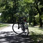 Ringhotel Schloss 4*