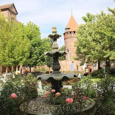 Ringhotel Schloss فندق 4*