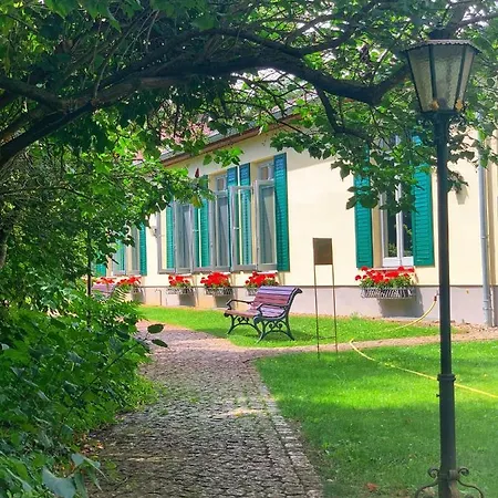 Ringhotel Schloss מלון Tangermünde