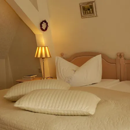 Ringhotel Schloss מלון