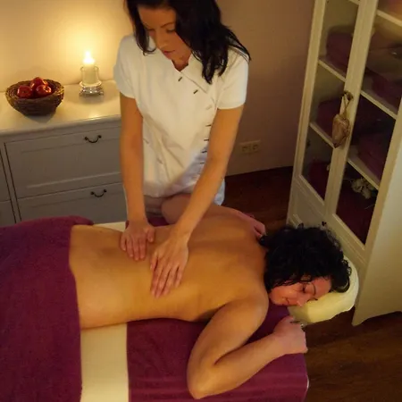 酒店 坦哲蒙城堡酒店 4*