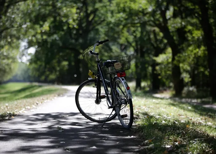 Ringhotel Schloss 4*